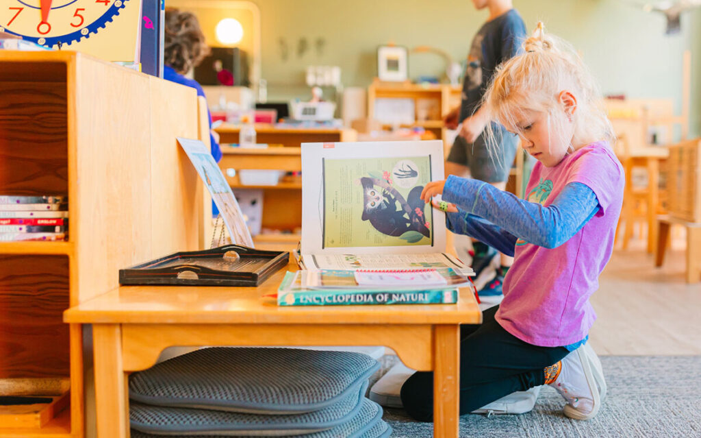 Student reading